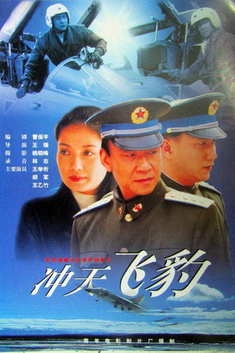 冲天飞豹 movie poster