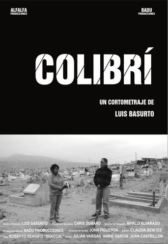 Colibrí movie poster