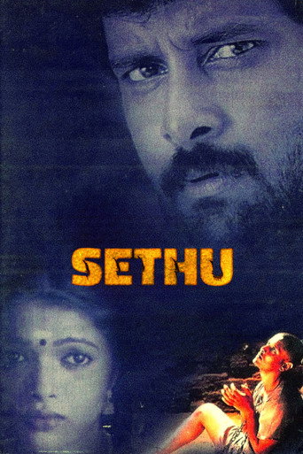 Sethu... movie poster