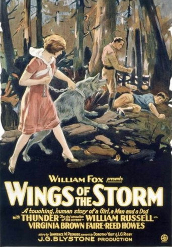 Wings of the Storm movie poster