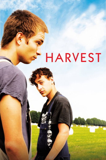 Harvest movie poster
