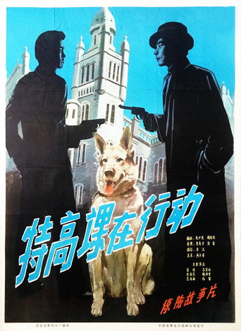 The Secret Service in Action movie poster