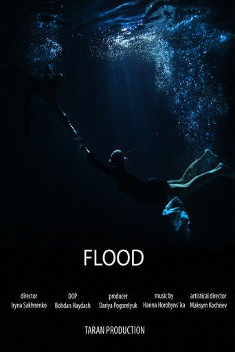 Flood movie poster