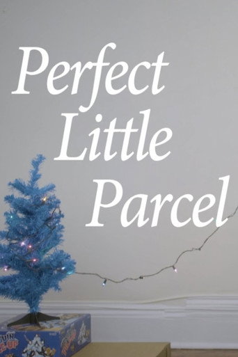 Perfect Little Parcel movie poster