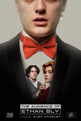 The Audience Of Ethan Bly movie poster