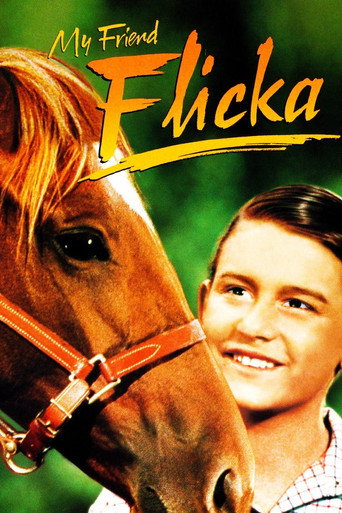 My Friend Flicka movie poster