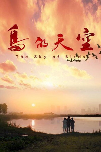 The Sky of Birds movie poster