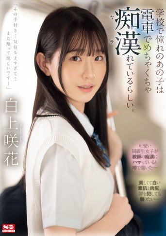 学校で憧れのあの子は電車でめちゃくちゃ痴漢(ヤラ)れているらしい。 movie poster
