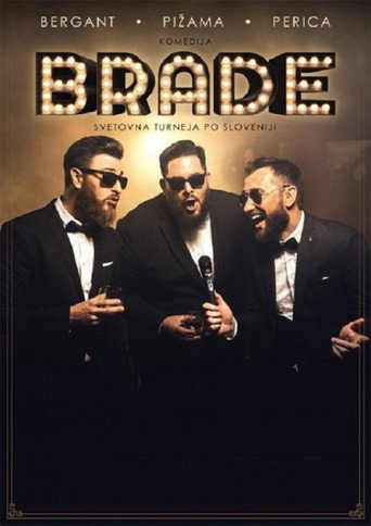 Beards movie poster