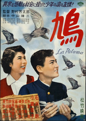 The Pigeon movie poster