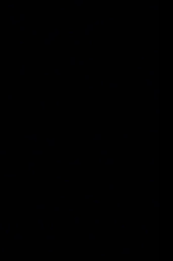 The Black Screen Film movie poster