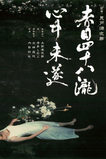 Akame 48 Waterfalls movie poster