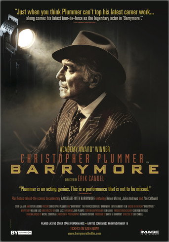 Barrymore movie poster