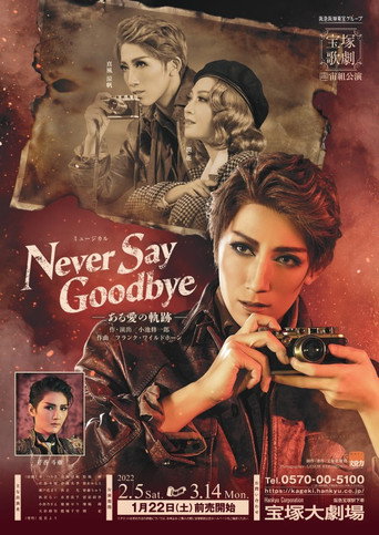 Never Say Goodbye movie poster