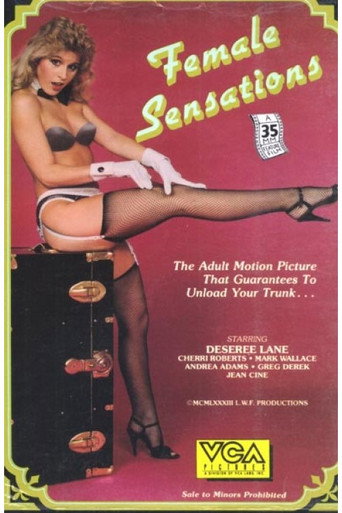 Female Sensations movie poster