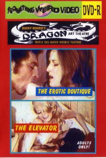 The Erotic Boutique movie poster
