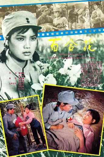 Bai he hua movie poster
