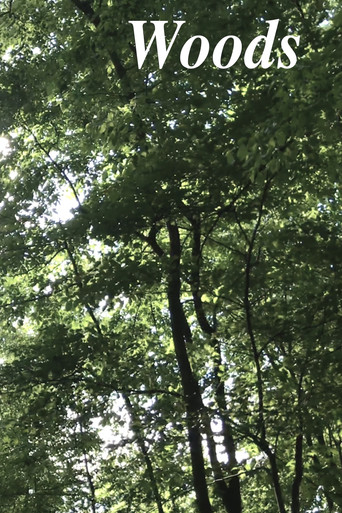 Woods movie poster