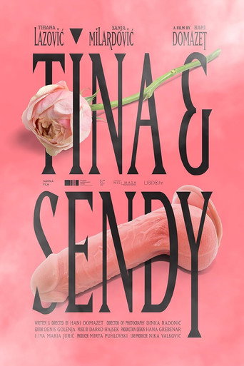 Tina & Sendy movie poster