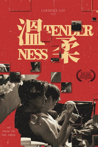 Tenderness movie poster