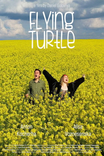 The Flying Turtle movie poster