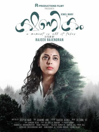 Kshanikam movie poster