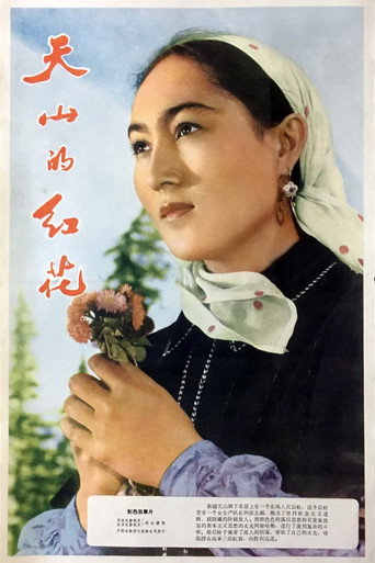 Safflower of Tianshan movie poster