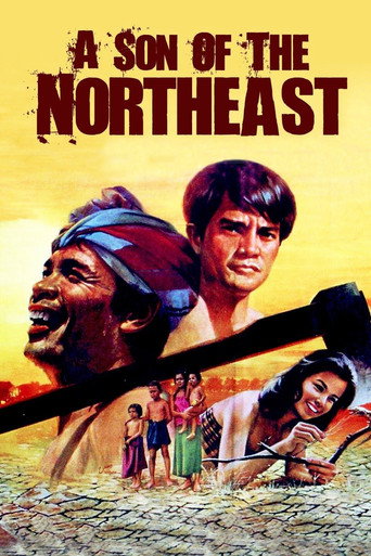 A Son of the Northeast movie poster