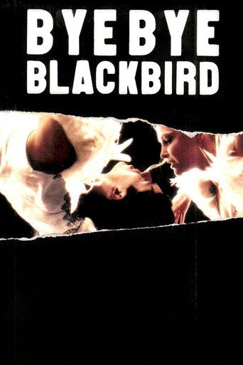 Bye Bye Blackbird movie poster