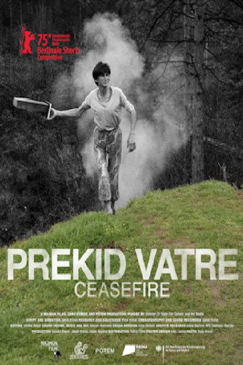 Ceasefire movie poster
