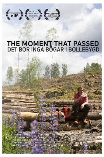 The Moment That Passed movie poster