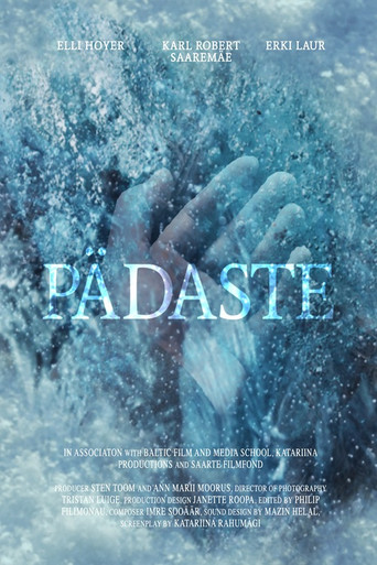 Pädaste movie poster