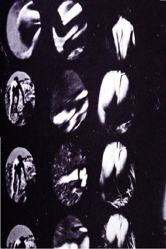 Experiment 002 movie poster