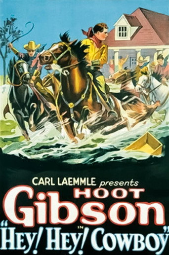 Hey! Hey! Cowboy movie poster