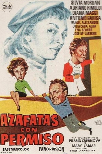 Hostesses with permission movie poster