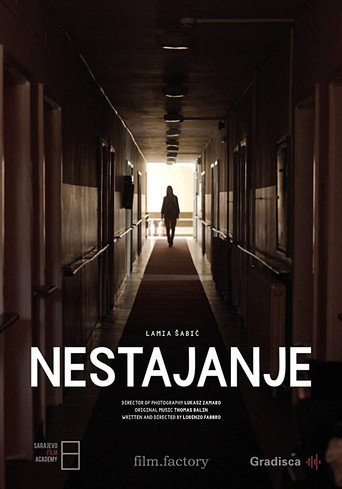Vanishing movie poster