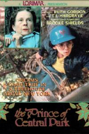 The Prince of Central Park movie poster