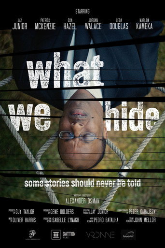 What We Hide movie poster