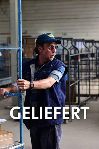 Geliefert movie poster