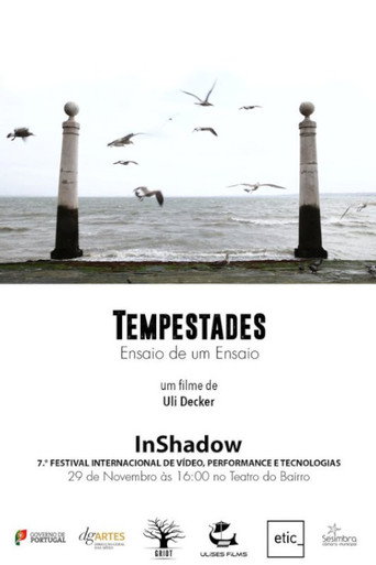 Tempests - Essay on a Rehearsal movie poster