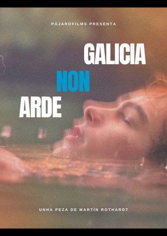 GALICIA NON ARDE movie poster