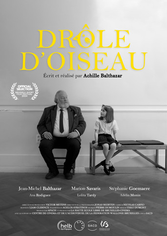 Drôle d'Oiseau movie poster