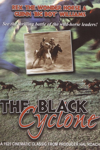 The Black Cyclone movie poster