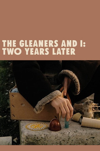 The Gleaners and I: Two Years Later movie poster