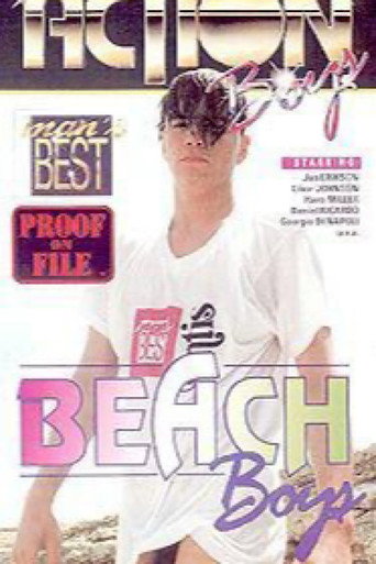 Beach Boys movie poster