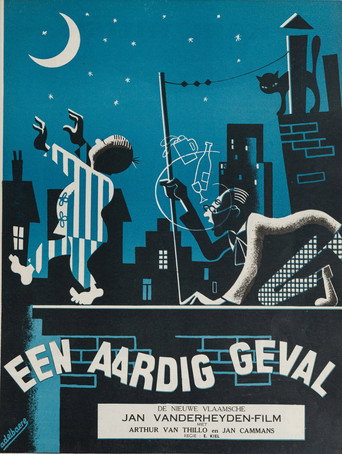 A Nice Case movie poster