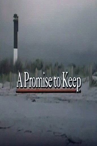 Promises to Keep movie poster