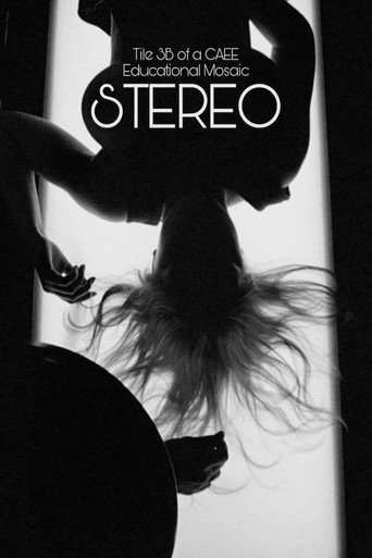 Stereo (Tile 3B of a CAEE Educational Mosaic) movie poster