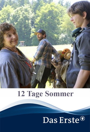 12 Tage Sommer movie poster