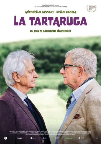 La tartaruga movie poster